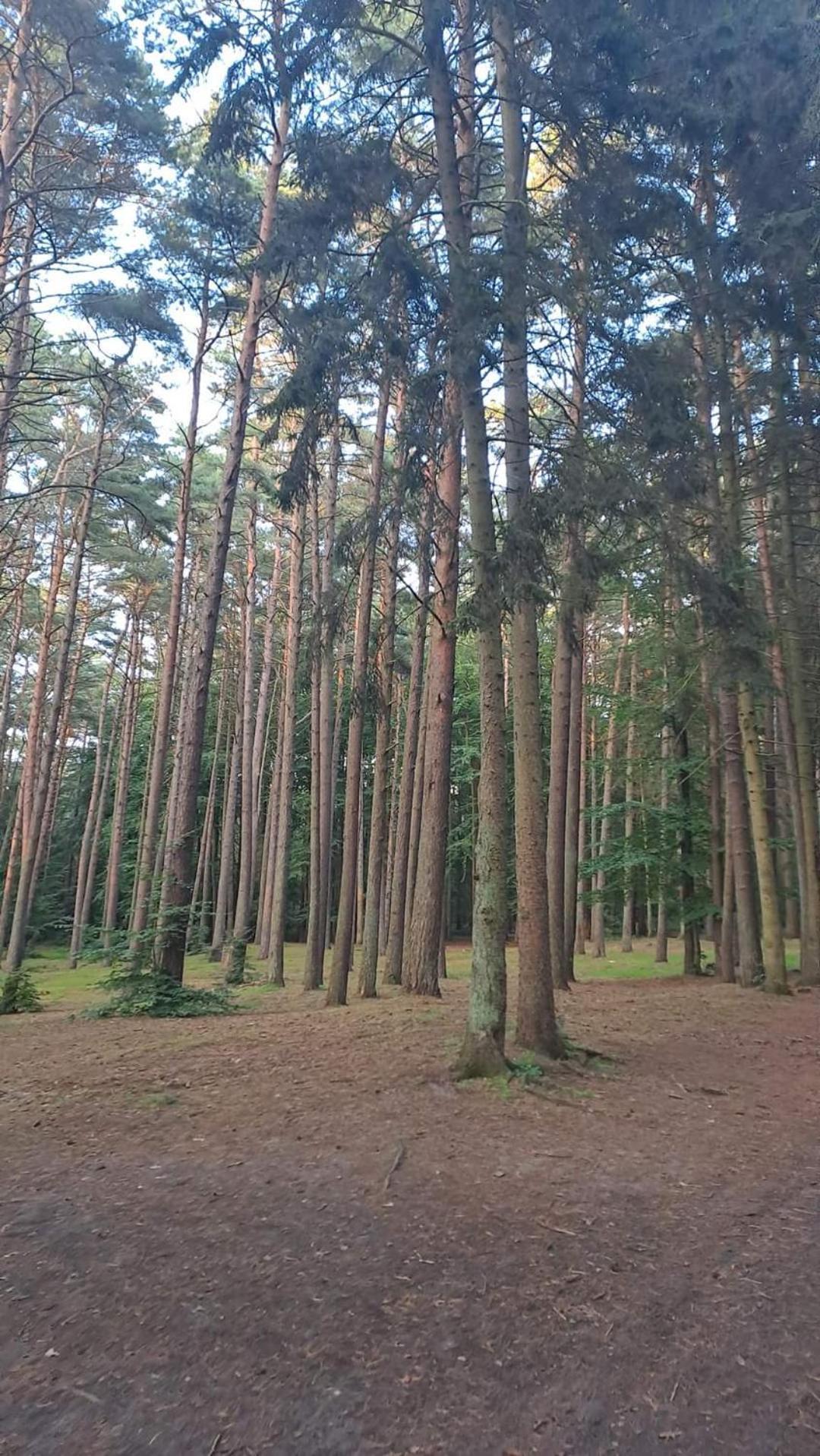 Pobierowo Baltic Apartaments D5 Exteriör bild