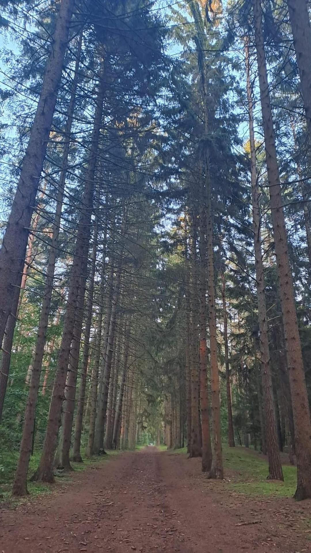 Pobierowo Baltic Apartaments D5 Exteriör bild